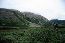 Gros Morne