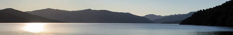 Morgenstimmung am Queen Charlotte Sound